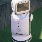 Boosting Business Efficiency with AI Tools