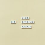 How AI and Sustainability Can Benefit Your Business